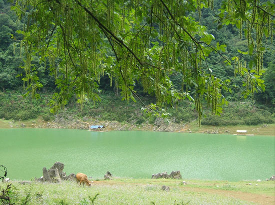 Thang Hen - Hồ nước hình thoi nằm trên núi cao